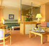 Hotel Torrequebrada 